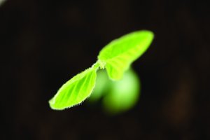品牌定位到底是什么？最通俗的解释